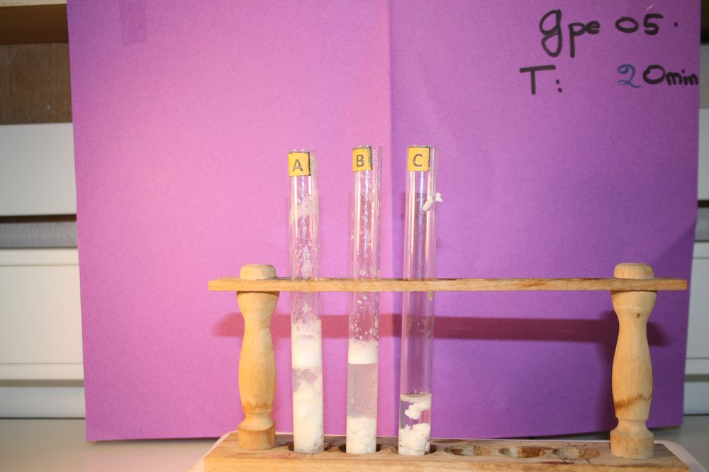 gal/LES_CINQUIEMES/ACTIVITE DIGESTION IN VITRO/Groupe_05/Groupe05_T_00h20min/Groupe05_T_00h_20min_14.JPG